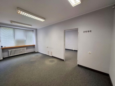 Lokal Zielona Góra