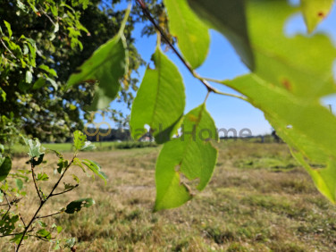 Działka inna sprzedam