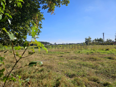 Działka inna Betkowo sprzedam