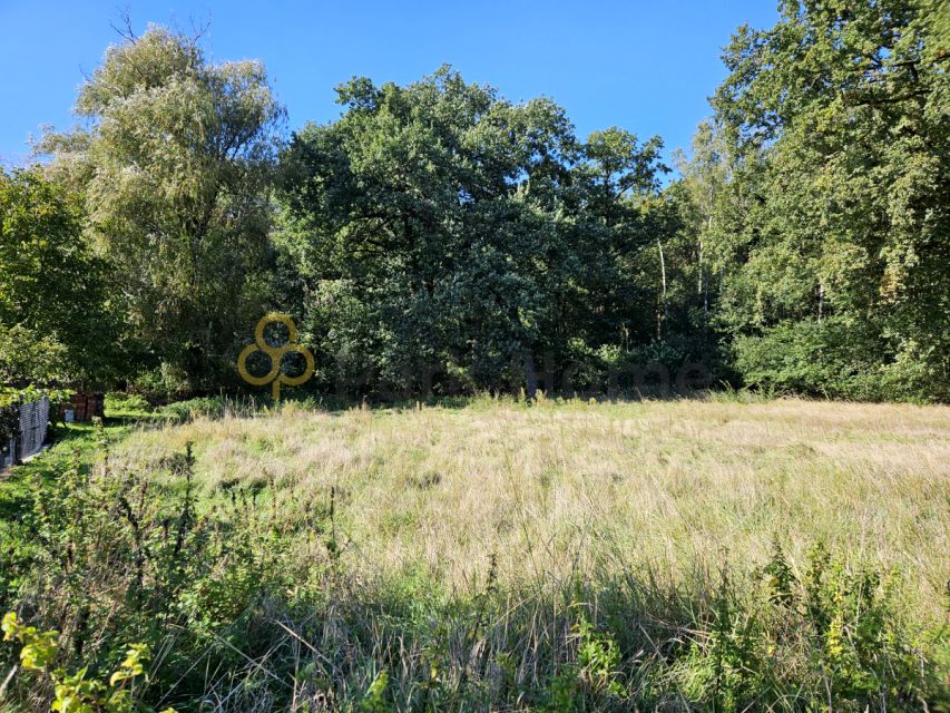 Działka inna Betkowo