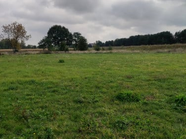 Działka rekreacyjna Tychy