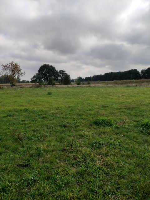 Działka rekreacyjna Tychy
