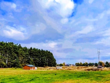 Działka Trzebiszewo