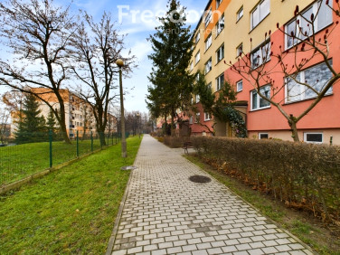 Mieszkanie ANDRYCHÓW