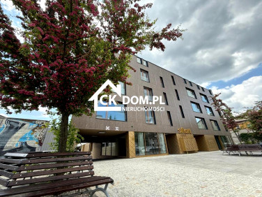 Lokal Kielce