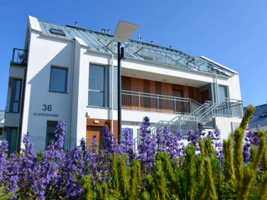 Mieszkanie Mechelinki