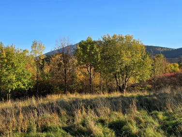 Działka Wola Skrzydlańska