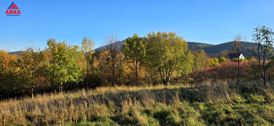 Działka Wola Skrzydlańska