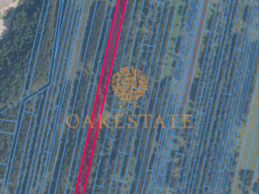 Działka budowlano-rolna Skarżysko Kościelne