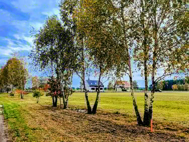 Działka budowlana Trzebiszewo