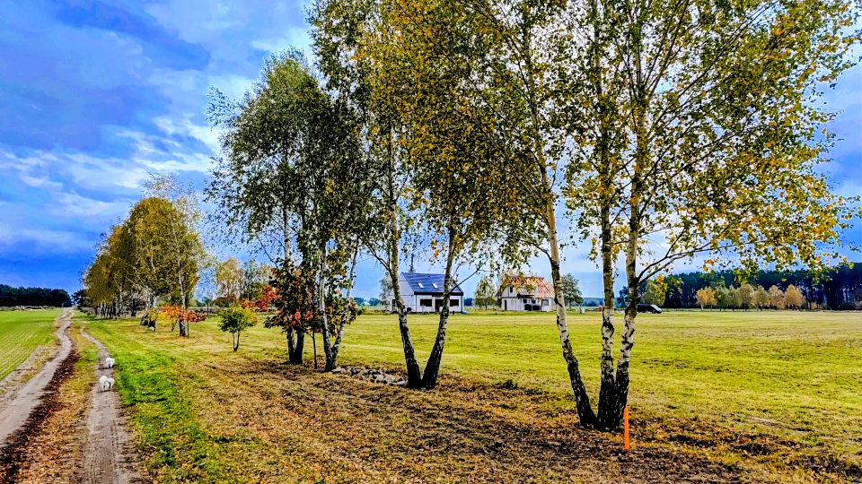 Działka budowlana Trzebiszewo