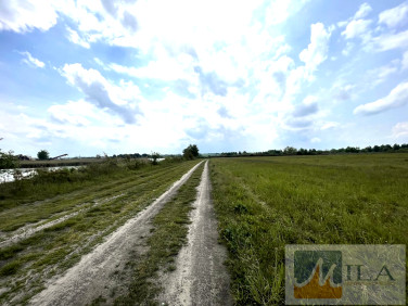 Działka rekreacyjna Cholerzyn