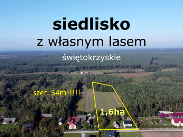 Dom Łosienek sprzedaż