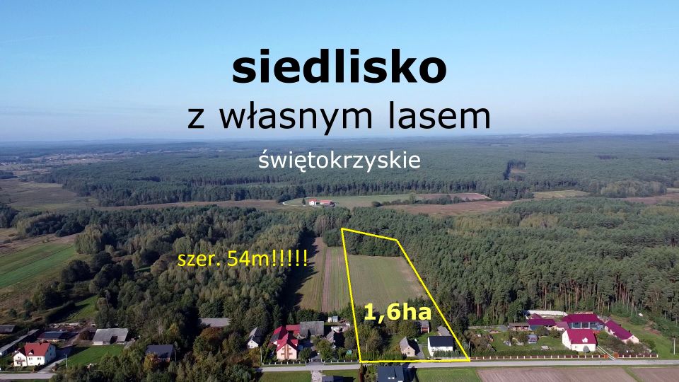 Dom Łosienek sprzedaż