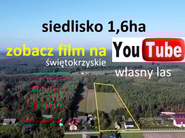 Dom Łosienek