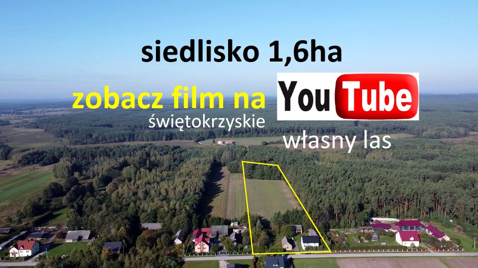 Dom Łosienek