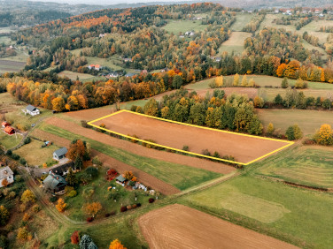 Działka budowlana Trzciana