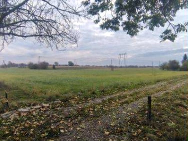 Działka budowlana Tryńcza