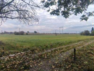 Działka budowlana Tryńcza