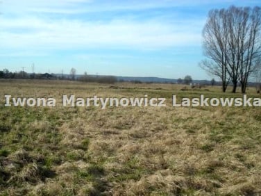 Działka inwestycyjna Lubin