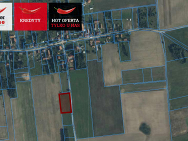 Działka siedliskowa Kunki