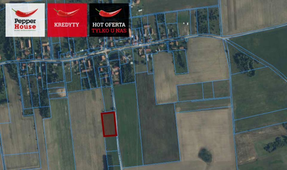 Działka siedliskowa Kunki