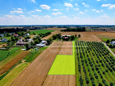 Działka budowlana Sieprawice