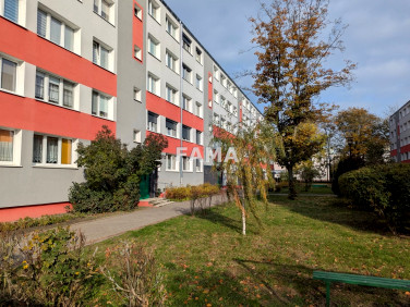 Mieszkanie Włocławek