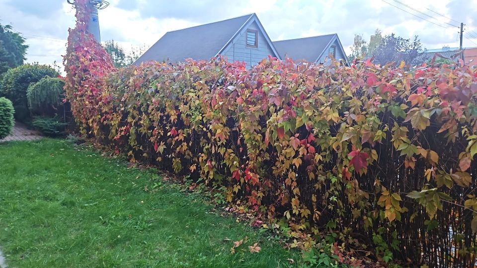 Mieszkanie Krynica Morska