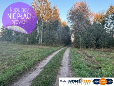 Działka Stary Kraszew