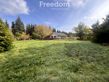 Działka przy lesie