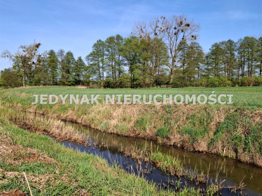 Pusta działka Zamość