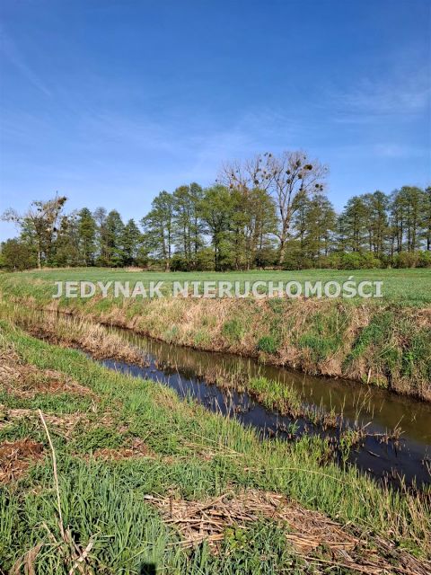 Pusta działka Zamość