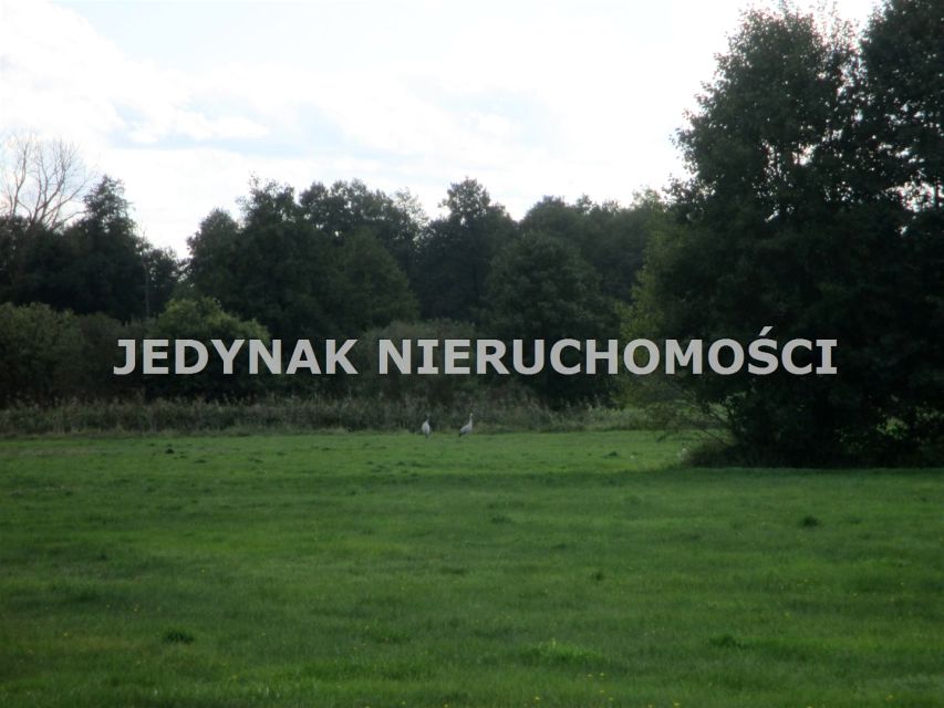 Działka budowlana Kruszyn Krajeński