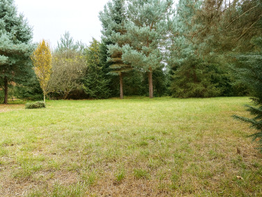 Działka budowlana Sosnowiec