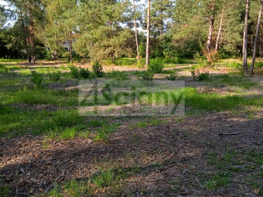 Działka budowlana CHOTOMÓW sprzedam