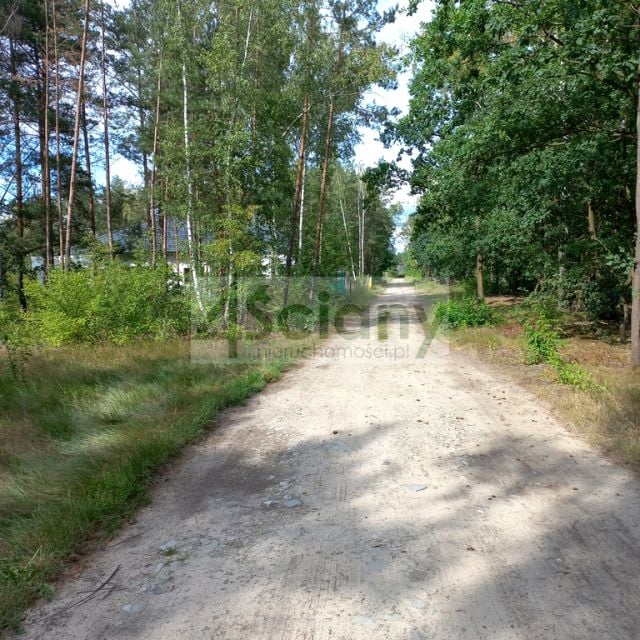 Zdjęcie 3