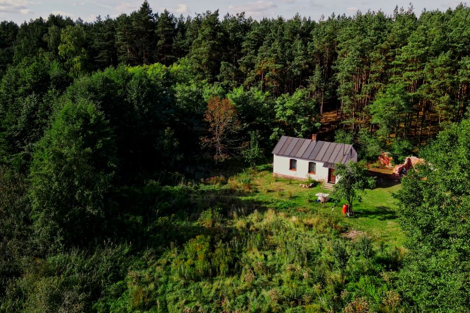 Działka nad jeziorem