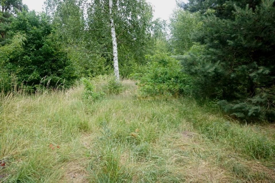 Zdjęcie 2