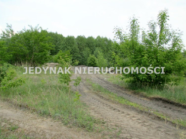 Pusta działka Białe Błota