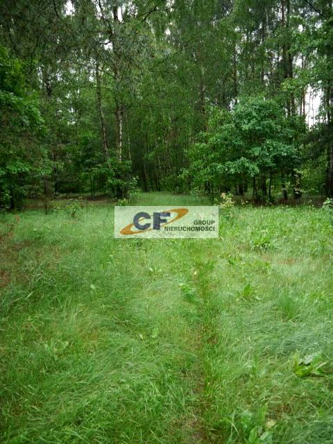 Działka rolna Badów Górny