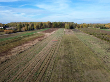 Działka rolna Wola Prażmowska