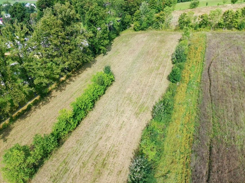 Ogrodzona działka sprzedam