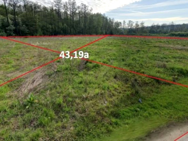 Działka budowlana MACIEJOWICE