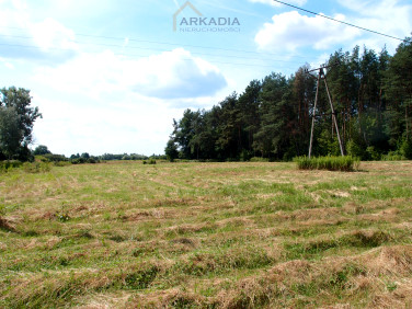 Działka usługowa Kazuń Polski
