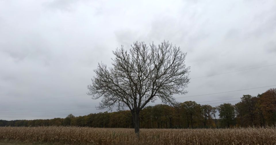 Działka inwestycyjna Sanie