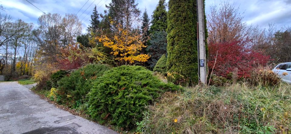 Zalesiona działka Łańcut