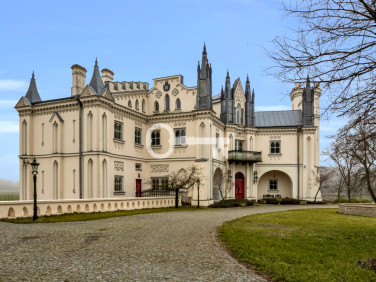 Dom Patrykozy-Kolonia