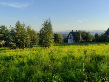 Działka budowlana Łazany