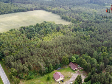 Działka leśna Lipinki